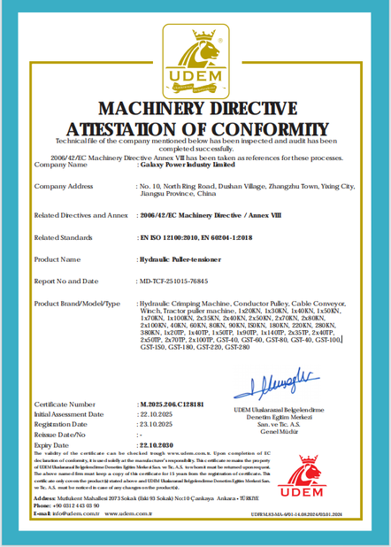 Chiny Galaxy power industry limited Certyfikaty